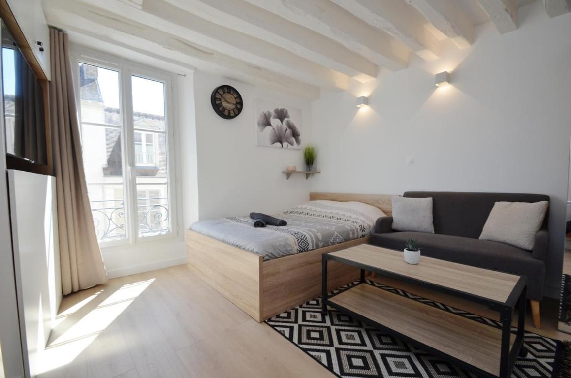 Апартаменты Le Petit France - Hyper Centre De Fontainebleau - Proche Insead Экстерьер фото
